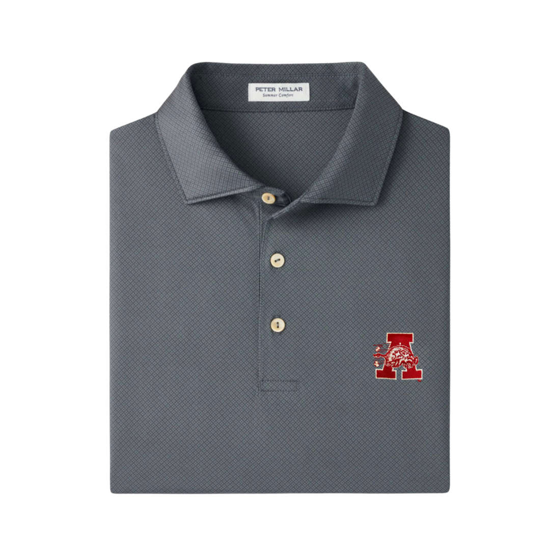 Hog in Front of A Hugo Polo| Iron