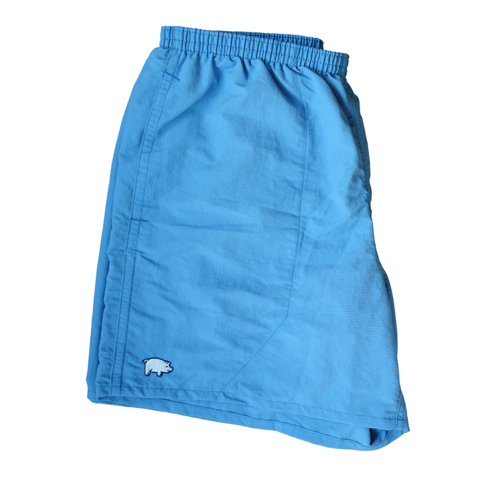 Curly Tail X Patagonia Mens Baggies Shorts 5 in | Shore Blue