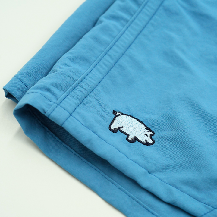 Curly Tail X Patagonia Mens Baggies Shorts 5 in | Shore Blue