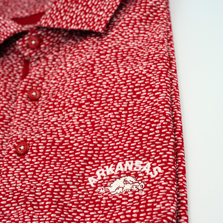 Horn Legend 'Arkansas' Script over Slobbering Hog Polo | Crimson / Grey / White