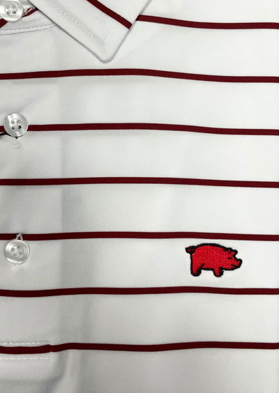 Curly Tail Pencil Stripe Polo