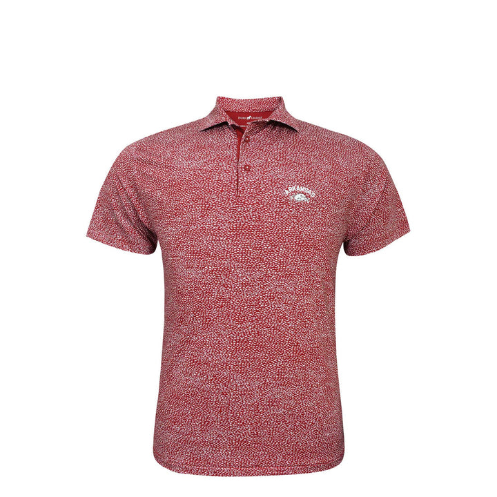 Horn Legend 'Arkansas' Script over Slobbering Hog Polo | Crimson / Grey / White