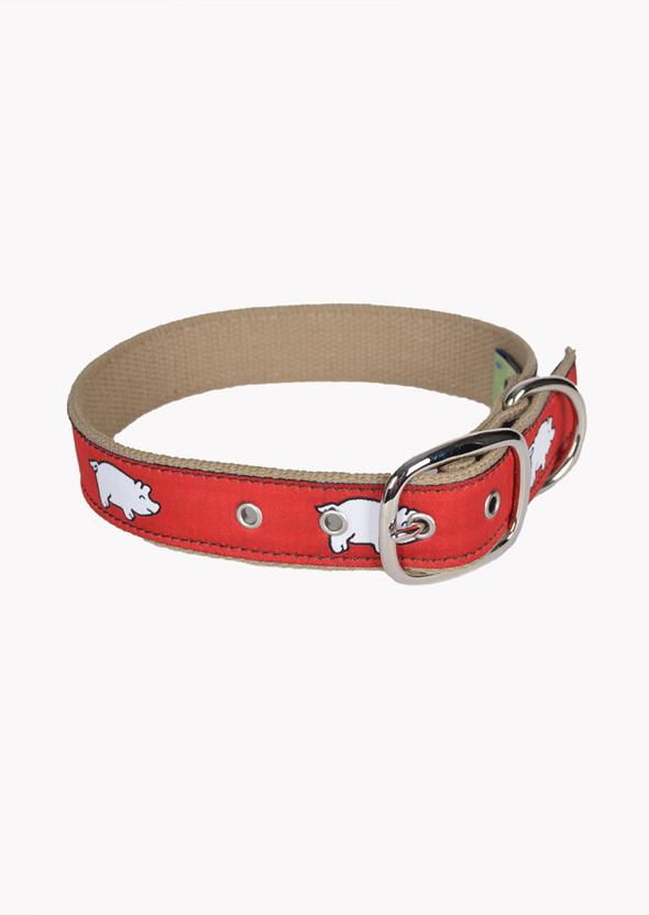 Curly Tail Dog Collar